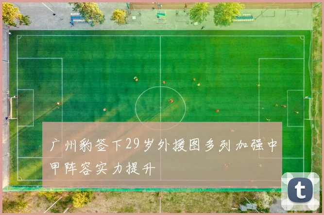 广州豹签下29岁外援图多列加强中甲阵容实力提升