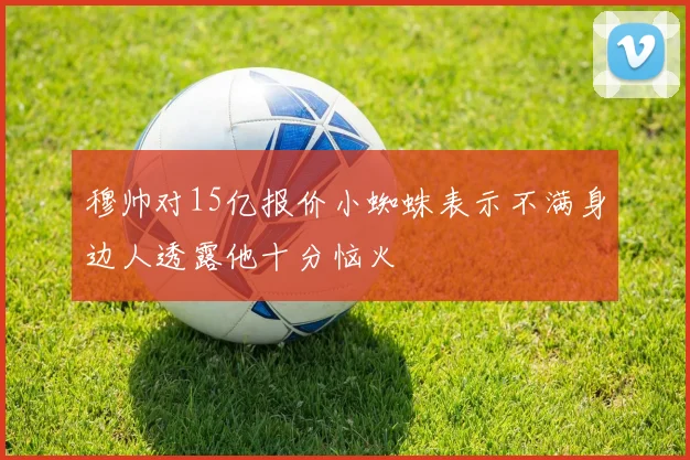穆帅对15亿报价小蜘蛛表示不满身边人透露他十分恼火